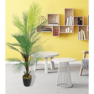 Yapay Ağaç Areka Ağacı Palmiye Ağacı Salon Bitkisi Doğal Palmiye Lifi Gövde 130 Cm 20 Yaprak