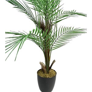 Yapay Ağaç Areka Ağacı Palmiye Ağacı Salon Bitkisi Doğal Palmiye Lifi Gövde 130 Cm 20 Yaprak