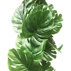 Yapay Çiçek Sarkan Ve Dolanan Monstera Deve Tabanı Bitkisi Yapay Sarmaşık 170cm