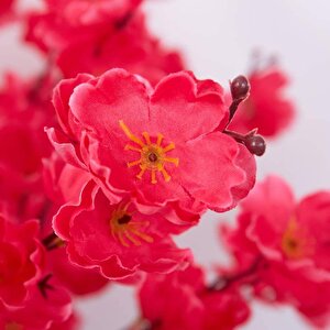 Yapay Çiçek Bahardalı Japon Kiraz Çiçeği 9 Dallı 40cm Fuşya