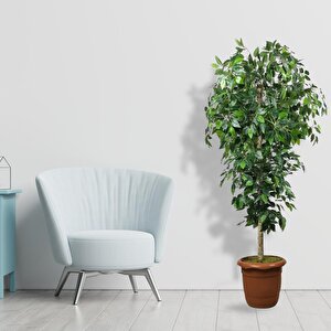 Yapay Ağaç Yeşil Benjamin170 Cm Plastik Saksılı 1.kalite Yapay Çiçek Dekoru