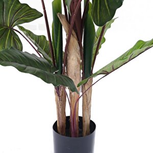 Yapay Ağaç Dev Fil Kulağı Taro Ağacı 170 Cm 11 Yaprak