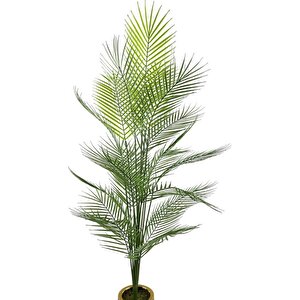 Yapay Ağaç Areka Ağacı Salon Bitkisi Siyah Gold Metal Vazoda 130 Cm 12 Yaprak