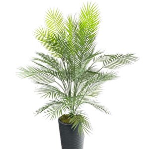 Yapay Ağaç Areka Ağacı Siyah Uzun Kumsal Vazoda Palmiye Ağacı Yapay Areka 170cm 40 Yaprak