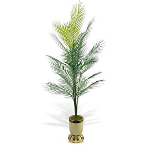 Yapay Ağaç Areka Ağacı Salon Bitkisi Krem Gold Metal Vazoda 130 Cm 12 Yaprak
