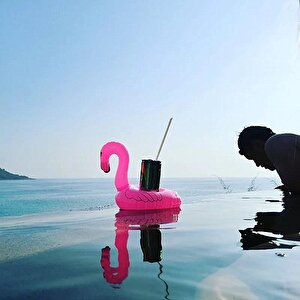 10 Lu Set Pembe Flamingo Şişme Bardak Simidi İçecek Tutacağı