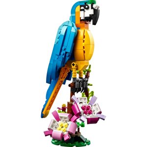 Creator 31136 Egzotik Papağan (253 Parça)