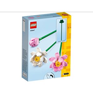 Lego Iconic 40647 Lotus Çiçekleri (220 Parça)