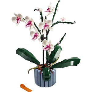 Creator Expert 10311 Orkide (608 Parça)