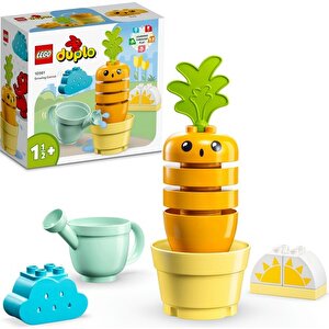 Duplo 10981 İlk Büyüyen Havucum (11 Parça)