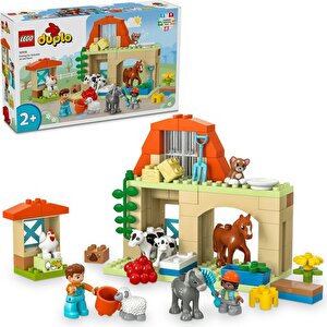 Duplo 10416 Kasabası Çiftlikte Hayvanların Bakımı (74 Parça)
