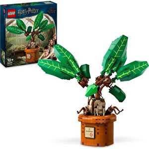 Harry Potter 76433 Adamotu (579 Parça)