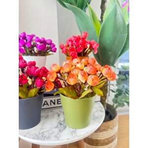 4lü Set Yapay Çiçek Fındık Gül Renkli Saksıda Gerçekçi Doku Karışık Renkli