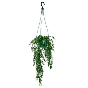 Yapay Çiçek Sarkan Yeşil Balkon Saksısında Şimşir Okaliptus