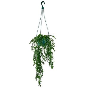 Yapay Çiçek Sarkan Yeşil Balkon Saksısında Şimşir Okaliptus