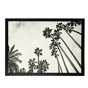Kanvas Tablo 50*70 Cm Ak.tbl0378