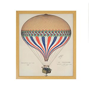 Çerçeveli Kanvas Tablo 40*60 Cm Ak.tbl0392