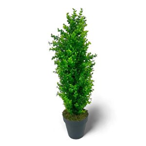 Yapay Çiçek Siyah Saksıda Yeşil Şimşir Ağacı 80*30cm