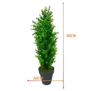 Yapay Çiçek Siyah Saksıda Yeşil Şimşir Ağacı 80*30cm