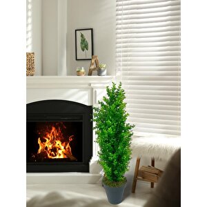 Yapay Çiçek Siyah Saksıda Yeşil Şimşir Ağacı 80*30cm