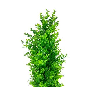 Yapay Çiçek Siyah Saksıda Yeşil Şimşir Ağacı 80*30cm