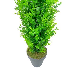 Yapay Çiçek Siyah Saksıda Yeşil Şimşir Ağacı 80*30cm