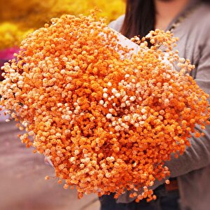 Kuru Çiçek Doğal Turuncu Cipso 50gram 1. Kalite Şoklanmış Bozulmaz