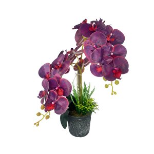 Yapay Çiçek 2li Mor Bordo Damarlı Islak Orkide Seramik Saksıda Orkide 60cm