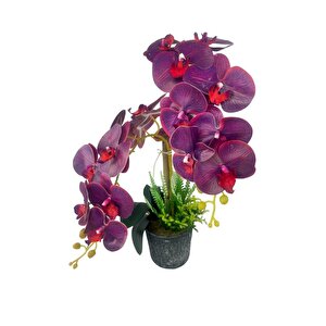 Yapay Çiçek 2li Mor Bordo Damarlı Islak Orkide Seramik Saksıda Orkide 60cm