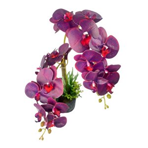 Yapay Çiçek 2li Mor Bordo Damarlı Islak Orkide Seramik Saksıda Orkide 60cm
