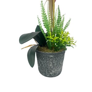 Yapay Çiçek 2li Mor Bordo Damarlı Islak Orkide Seramik Saksıda Orkide 60cm