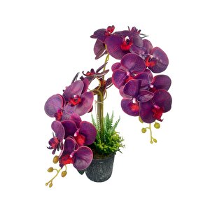 Yapay Çiçek 2li Mor Bordo Damarlı Islak Orkide Seramik Saksıda Orkide 60cm