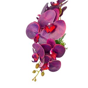 Yapay Çiçek 2li Mor Bordo Damarlı Islak Orkide Seramik Saksıda Orkide 60cm