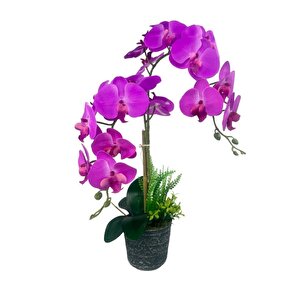 Yapay Çiçek 2li Fuşya Islak Orkide Seramik Saksıda Orkide 60cm