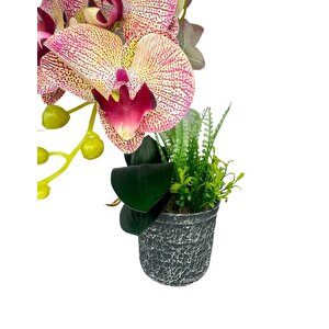 Yapay Çiçek 2li Pembe Damarlı Islak Orkide Seramik Saksıda Orkide 60cm