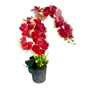 Yapay Çiçek 2li Kırmızı Krem Islak Orkide Seramik Saksıda Orkide 60cm