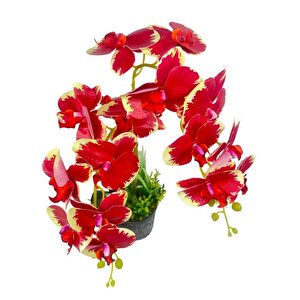 Yapay Çiçek 2li Kırmızı Krem Islak Orkide Seramik Saksıda Orkide 60cm