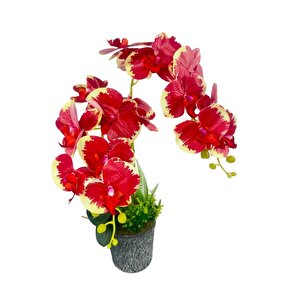 Yapay Çiçek 2li Kırmızı Krem Islak Orkide Seramik Saksıda Orkide 60cm