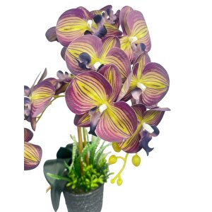 Yapay Çiçek 2li Mor Sarı Çizgili Islak Orkide Seramik Saksıda Orkide 60cm