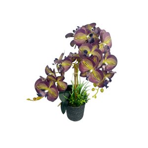 Yapay Çiçek 2li Mor Sarı Çizgili Islak Orkide Seramik Saksıda Orkide 60cm