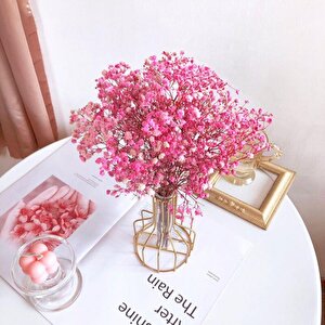 Kuru Çiçek Doğal Pembe Cipso 50gram 1. Kalite Şoklanmış Bozulmaz
