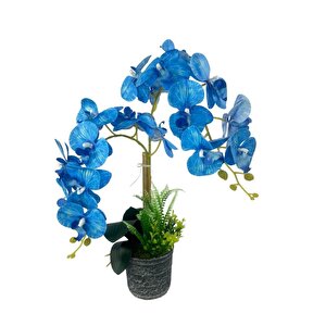 Yapay Çiçek 2li Mavi Islak Orkide Seramik Saksıda Orkide 60cm