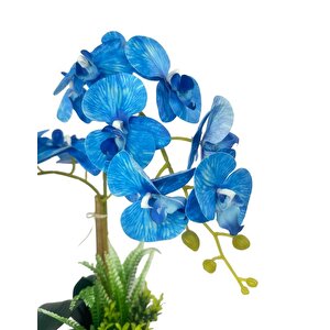 Yapay Çiçek 2li Mavi Islak Orkide Seramik Saksıda Orkide 60cm