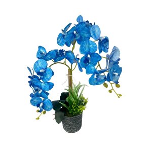 Yapay Çiçek 2li Mavi Islak Orkide Seramik Saksıda Orkide 60cm