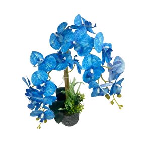 Yapay Çiçek 2li Mavi Islak Orkide Seramik Saksıda Orkide 60cm