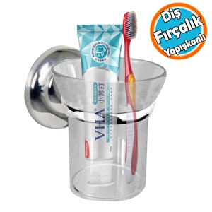 Yapışkanlı Diş Fırçalık Banyo Diş Fırçası Kabı Kutusu Krom Kristal