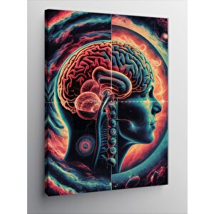 Kanvas Tablo İnsan Beyni Anatomisi 70x100 cm