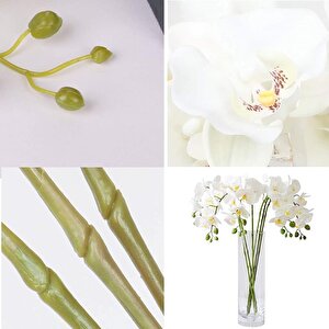 3lü Set Yapay Çiçek Islak Orkide Ve 2 Adet Orkide Yaprağı Gerçeksi Doku Uzun Dal 90cm
