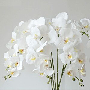 3lü Set Yapay Çiçek Islak Orkide Ve 2 Adet Orkide Yaprağı Gerçeksi Doku Uzun Dal 90cm