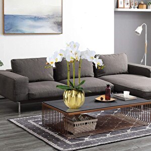 3lü Set Yapay Çiçek Islak Orkide Ve 2 Adet Orkide Yaprağı Gerçeksi Doku Uzun Dal 90cm
